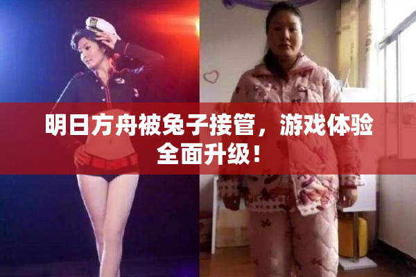 明日方舟被兔子接管，游戏体验全面升级！