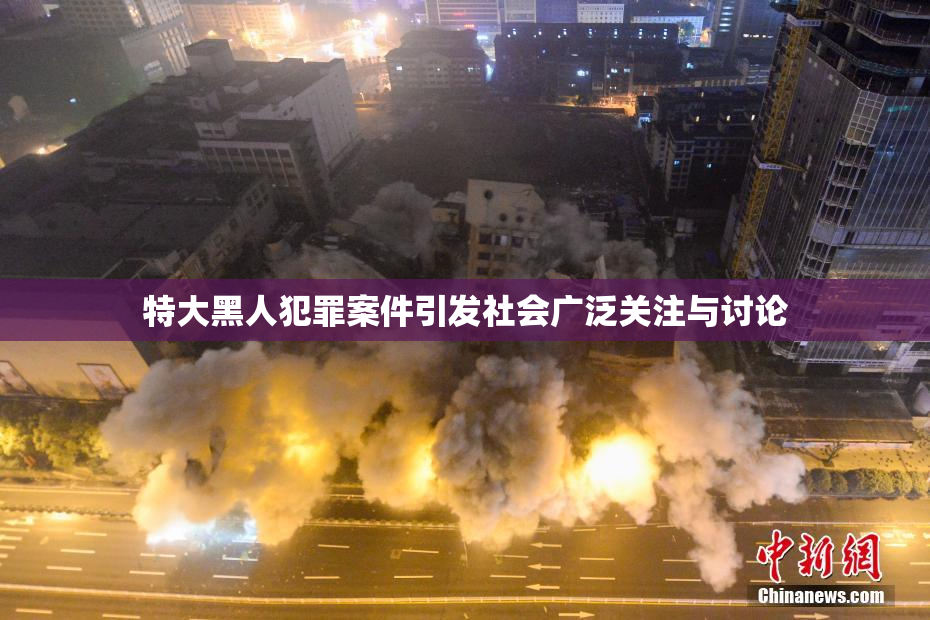 特大黑人犯罪案件引发社会广泛关注与讨论