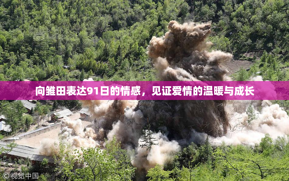 向雏田表达91日的情感，见证爱情的温暖与成长