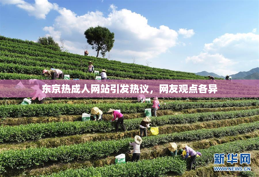 东京热成人网站引发热议，网友观点各异