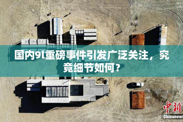 国内9l重磅事件引发广泛关注，究竟细节如何？