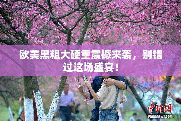 欧美黑粗大硬重震撼来袭，别错过这场盛宴！