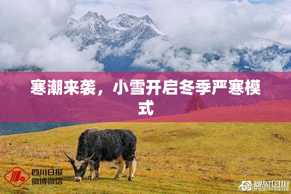寒潮来袭，小雪开启冬季严寒模式