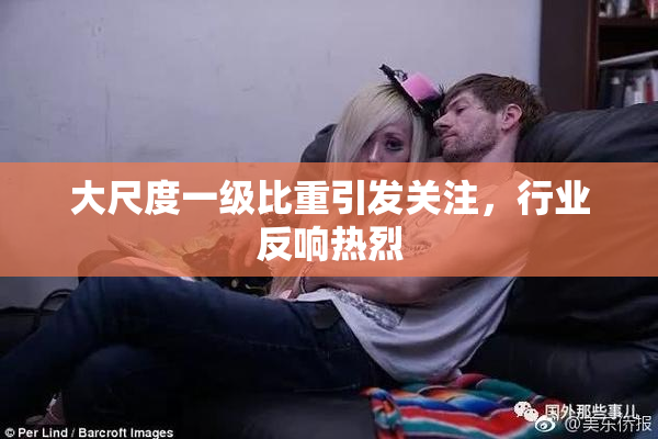 大尺度一级比重引发关注，行业反响热烈