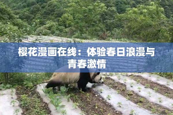 樱花漫画在线：体验春日浪漫与青春激情