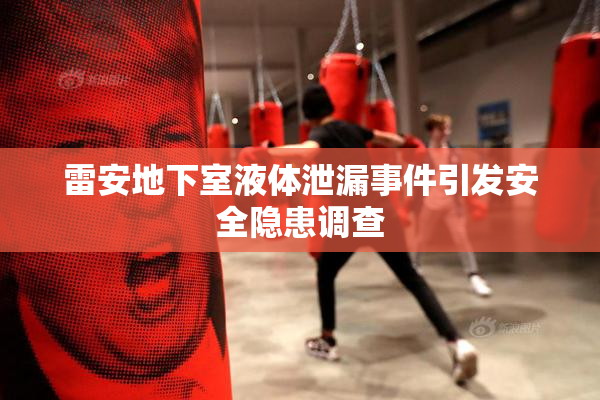 雷安地下室液体泄漏事件引发安全隐患调查