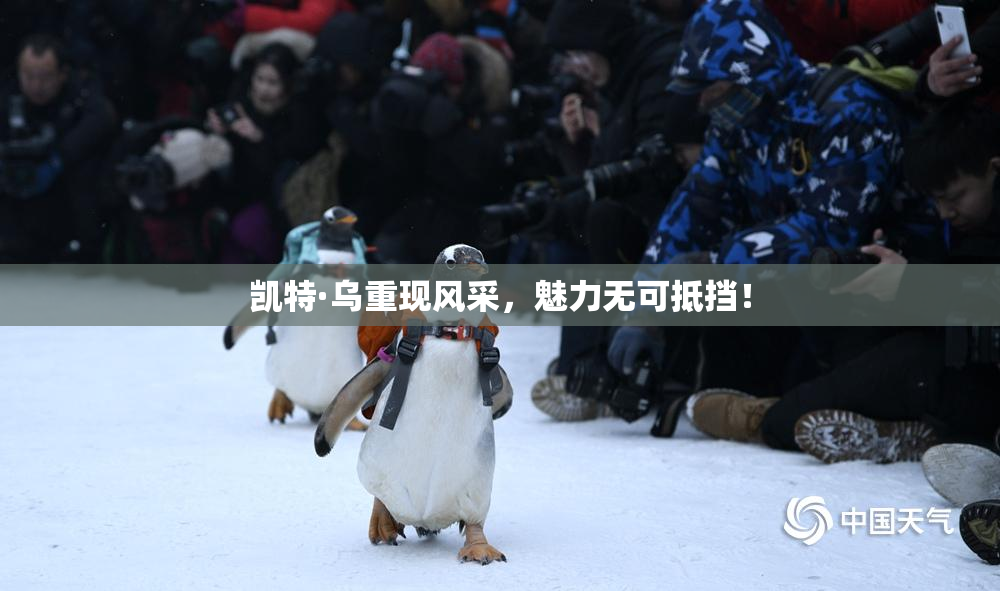 凯特·乌重现风采，魅力无可抵挡！