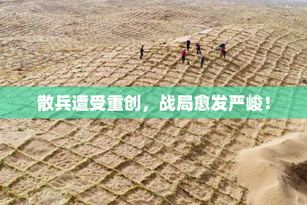 散兵遭受重创，战局愈发严峻！
