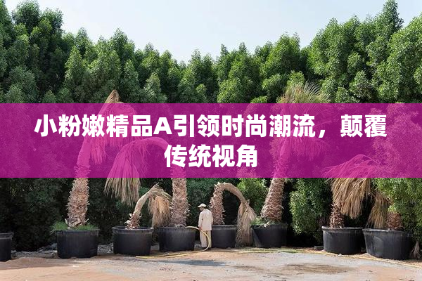 小粉嫩精品A引领时尚潮流，颠覆传统视角
