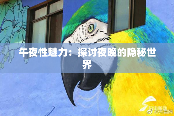 午夜性魅力：探讨夜晚的隐秘世界