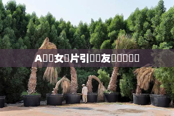 A級處女黃片引發網友熱議與討論