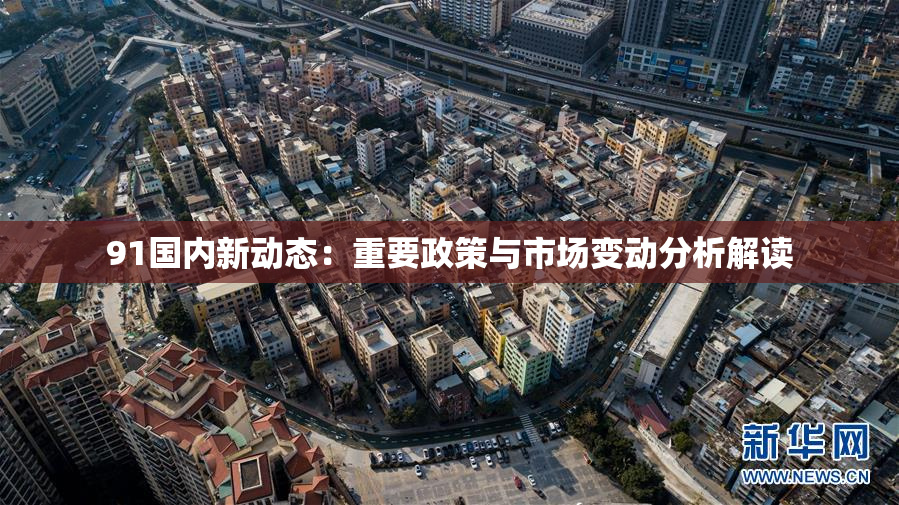 91国内新动态：重要政策与市场变动分析解读
