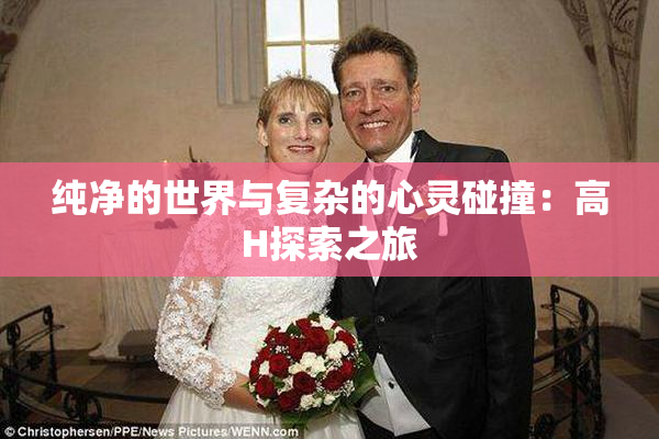 纯净的世界与复杂的心灵碰撞：高H探索之旅
