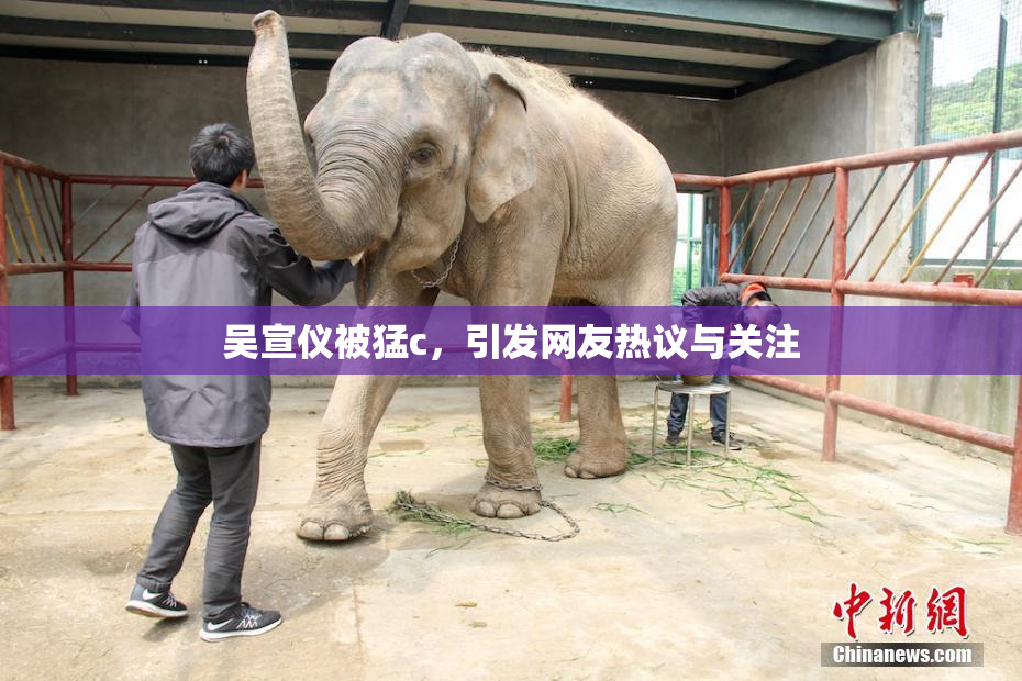 吴宣仪被猛c，引发网友热议与关注
