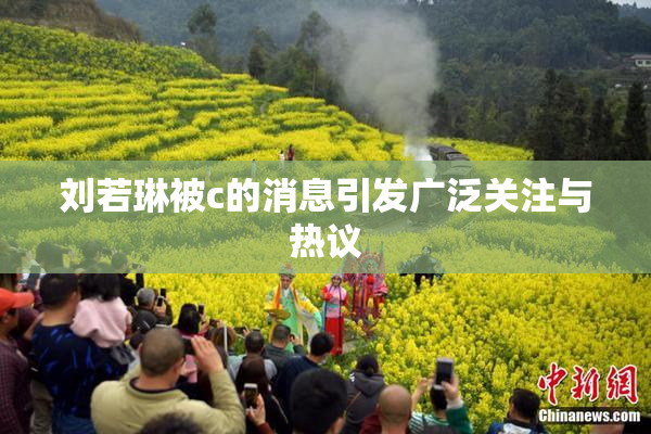 刘若琳被c的消息引发广泛关注与热议