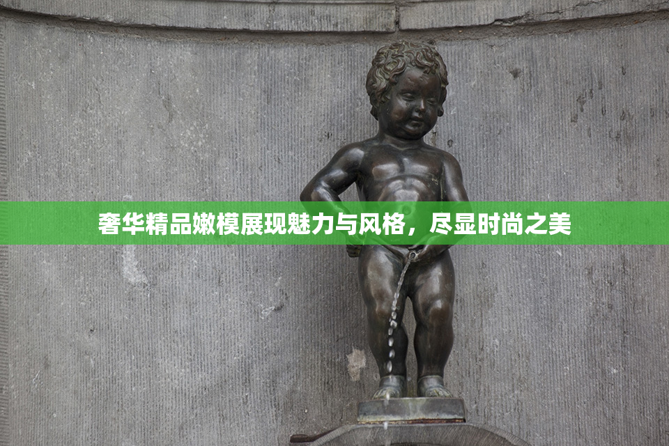 奢华精品嫩模展现魅力与风格，尽显时尚之美