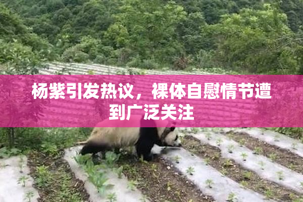 杨紫引发热议，裸体自慰情节遭到广泛关注