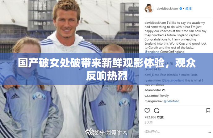 国产破女处破带来新鲜观影体验，观众反响热烈