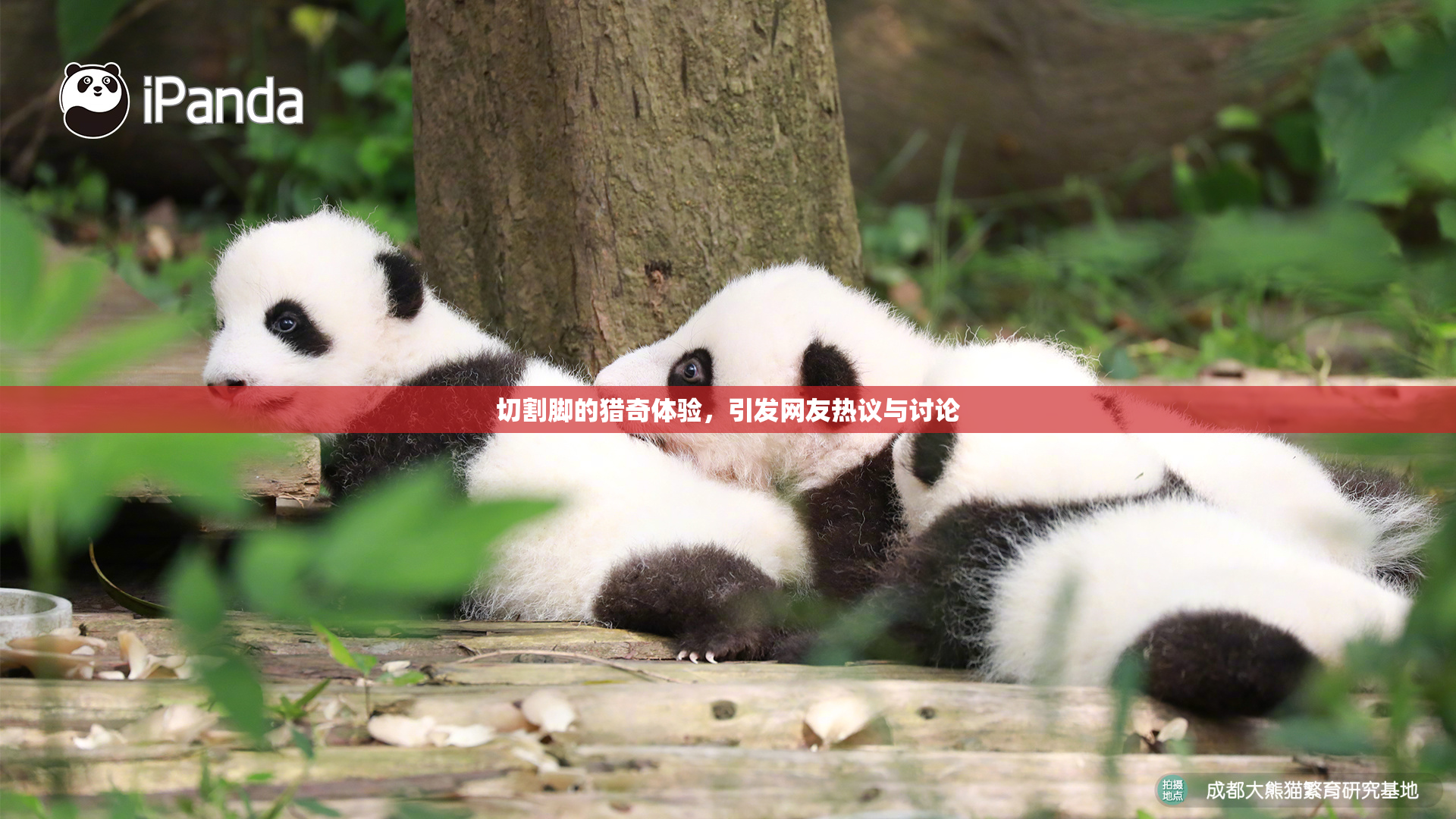 切割脚的猎奇体验，引发网友热议与讨论