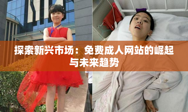 探索新兴市场：免费成人网站的崛起与未来趋势