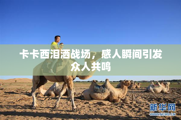 卡卡西泪洒战场，感人瞬间引发众人共鸣