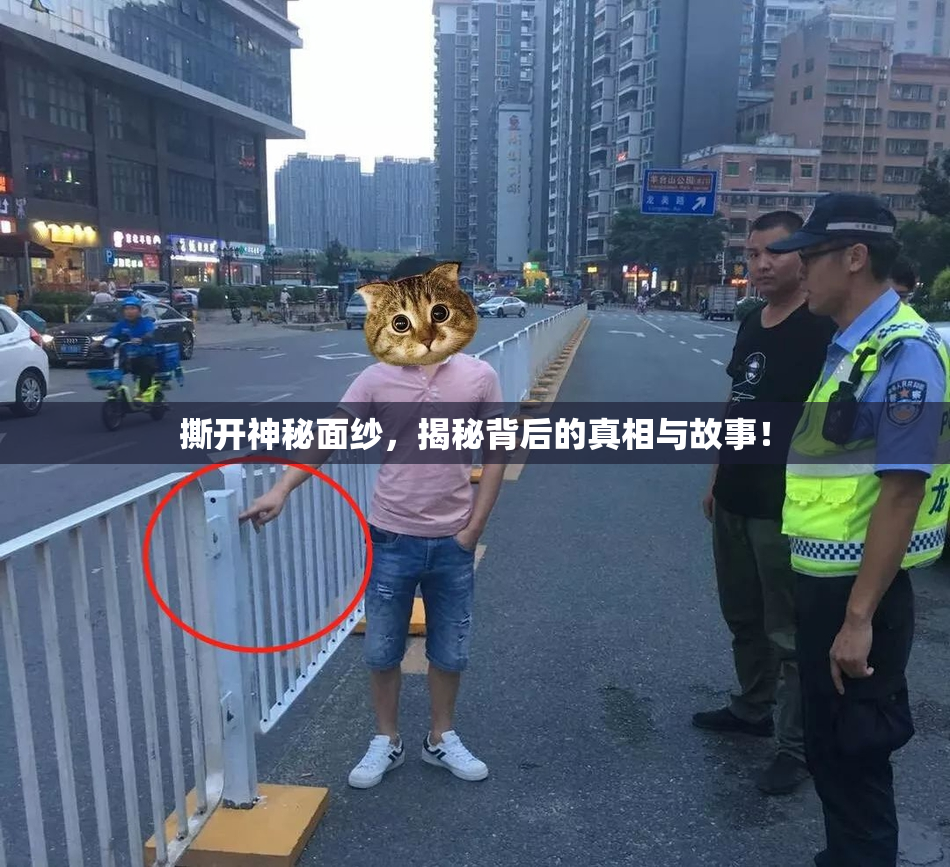 撕开神秘面纱，揭秘背后的真相与故事！