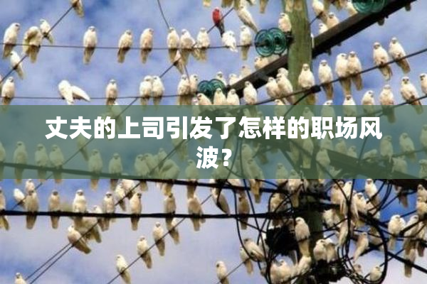 丈夫的上司引发了怎样的职场风波？