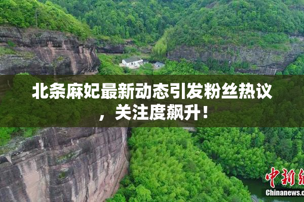 北条麻妃最新动态引发粉丝热议，关注度飙升！