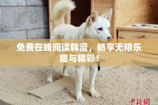免费在线阅读韩漫，畅享无限乐趣与精彩！