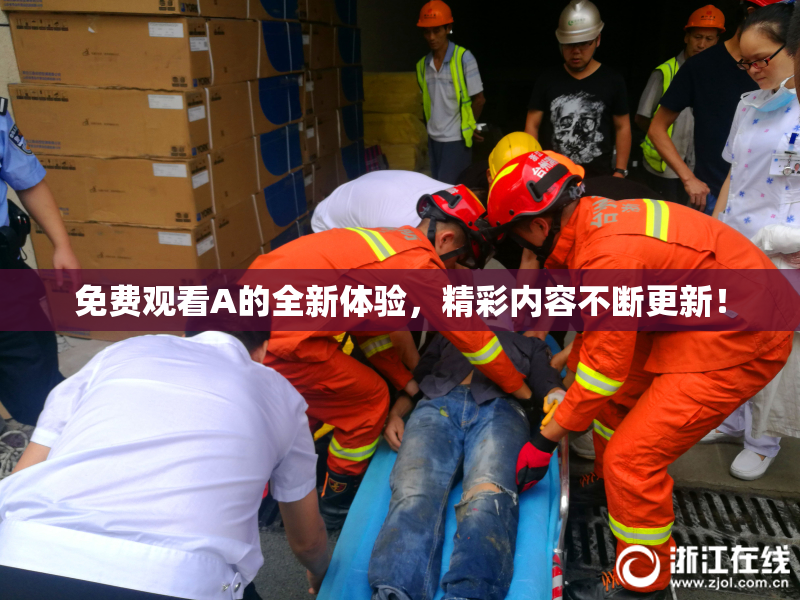 免费观看A的全新体验，精彩内容不断更新！