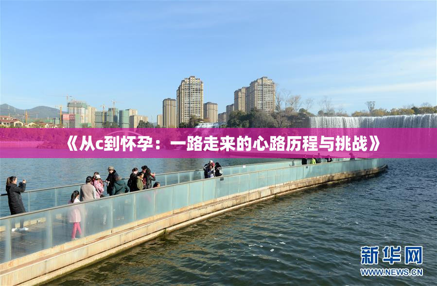 《从c到怀孕：一路走来的心路历程与挑战》