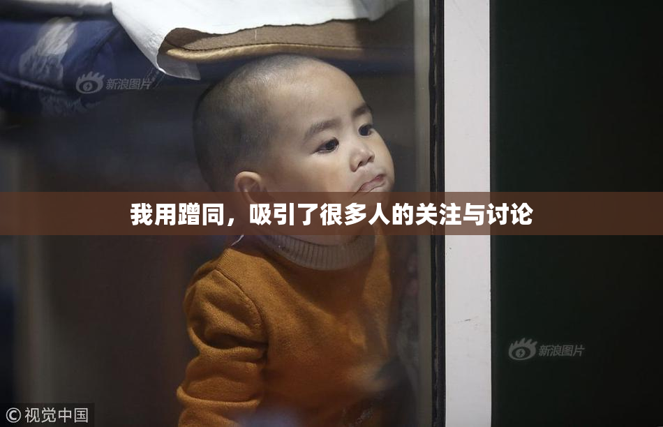 我用蹭同，吸引了很多人的关注与讨论