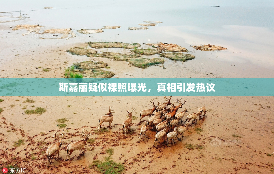 斯嘉丽疑似裸照曝光，真相引发热议