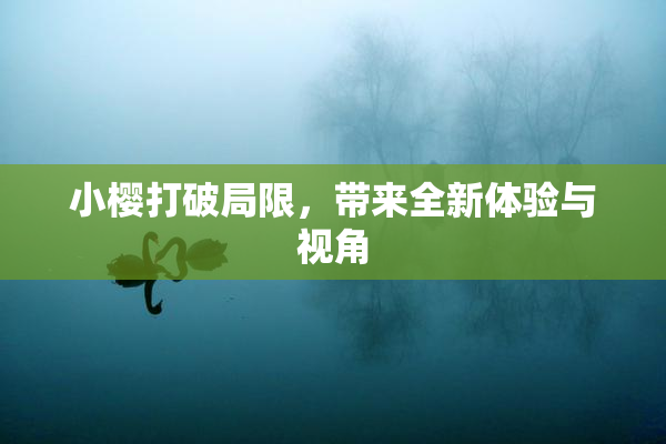 小樱打破局限，带来全新体验与视角