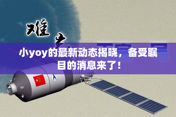 小yoy的最新动态揭晓，备受瞩目的消息来了！