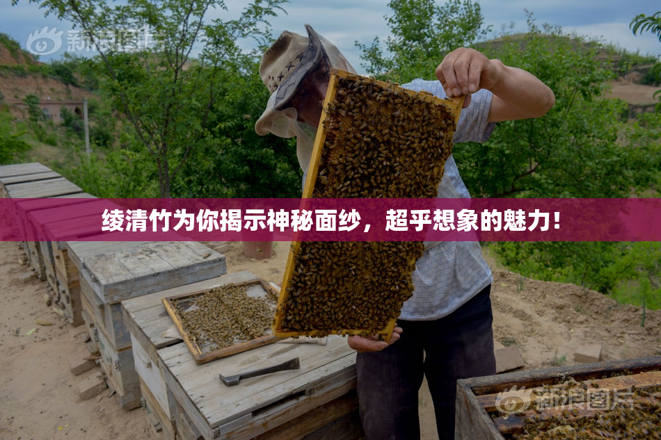 绫清竹为你揭示神秘面纱，超乎想象的魅力！