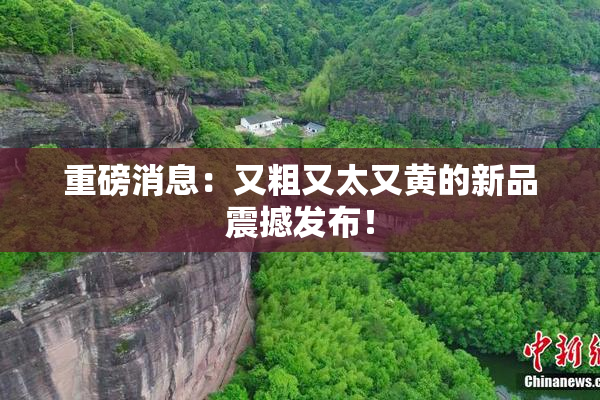 重磅消息：又粗又太又黄的新品震撼发布！
