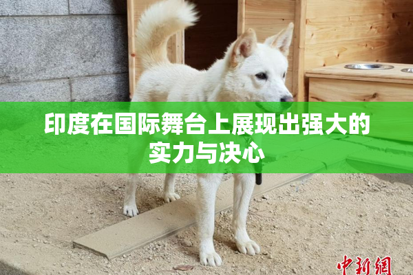 印度在国际舞台上展现出强大的实力与决心