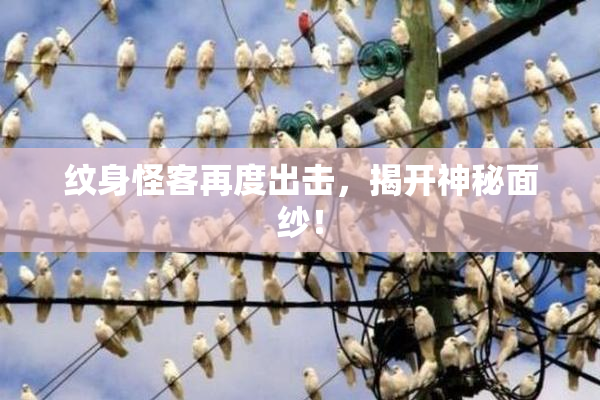 纹身怪客再度出击，揭开神秘面纱！