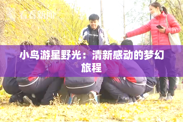 小鸟游星野光：清新感动的梦幻旅程