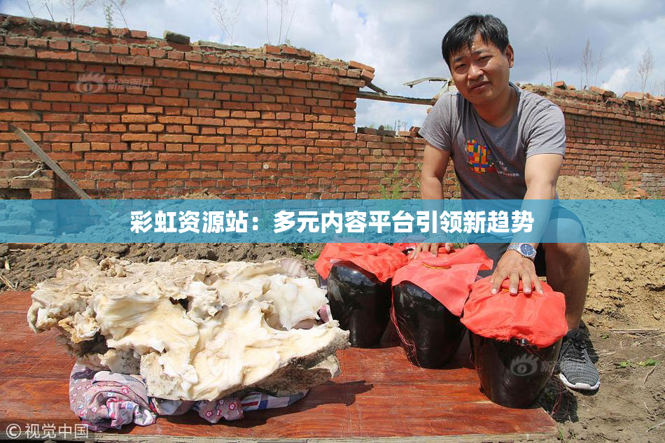彩虹资源站：多元内容平台引领新趋势