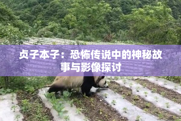 贞子本子：恐怖传说中的神秘故事与影像探讨
