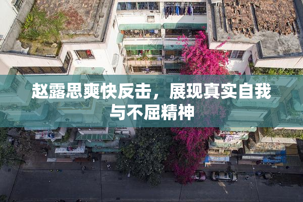 赵露思爽快反击，展现真实自我与不屈精神