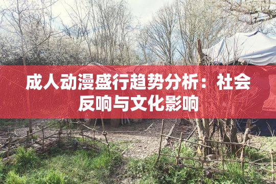 成人动漫盛行趋势分析：社会反响与文化影响