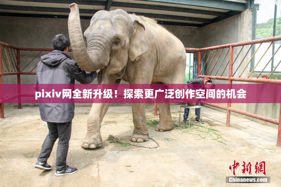 pixiv网全新升级！探索更广泛创作空间的机会