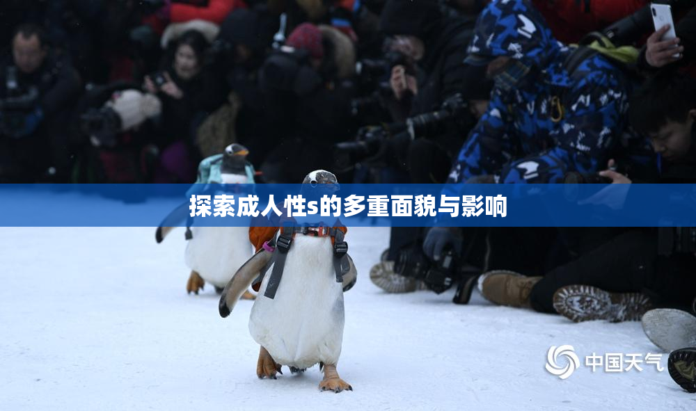探索成人性s的多重面貌与影响
