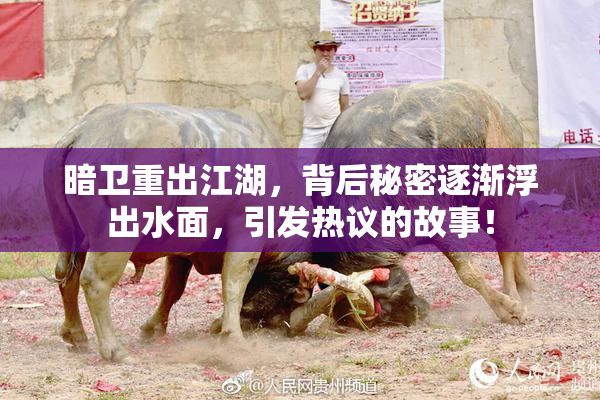 暗卫重出江湖，背后秘密逐渐浮出水面，引发热议的故事！