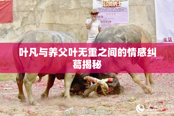 叶凡与养父叶无重之间的情感纠葛揭秘