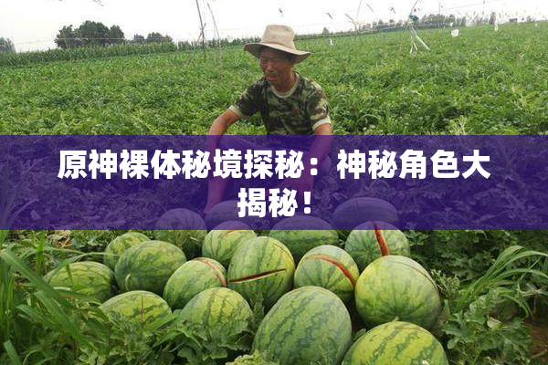 原神裸体秘境探秘：神秘角色大揭秘！
