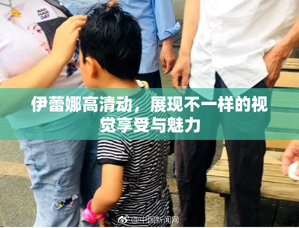 伊蕾娜高清动，展现不一样的视觉享受与魅力